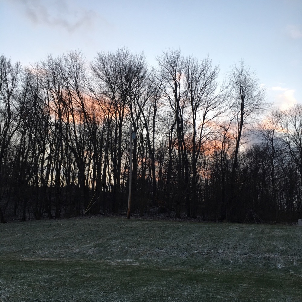 Meet your Posher, Elsie